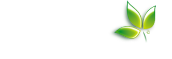 The Paperless Logo